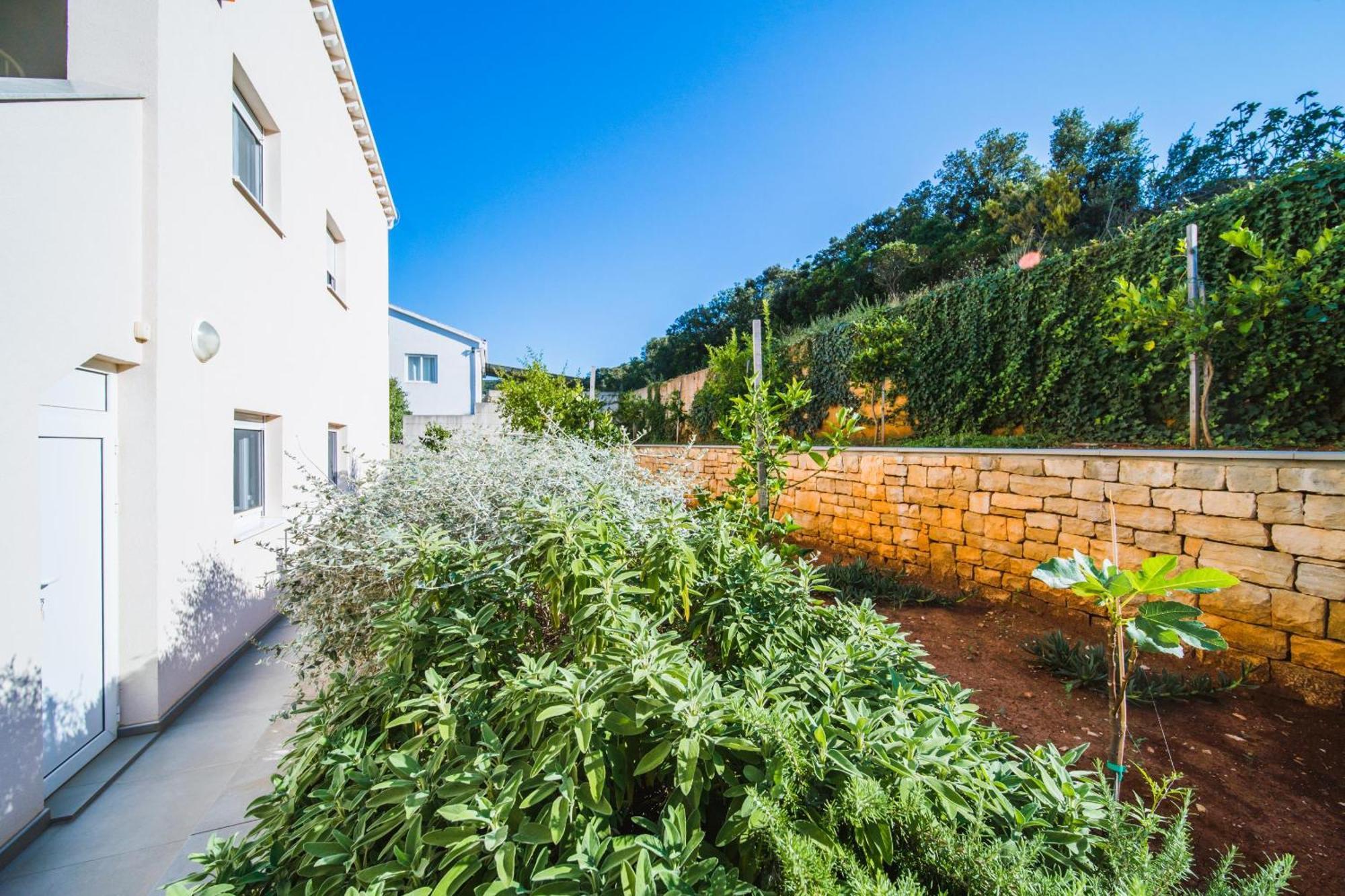 קורצולה Villa Teuta מראה חיצוני תמונה
